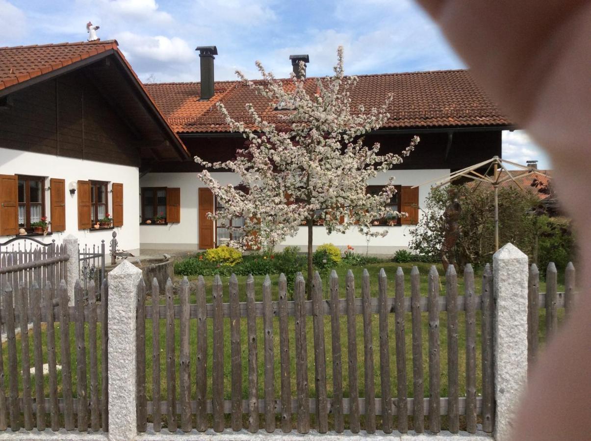 Ferienwohnung Hoermann Langdorf  Extérieur photo
